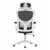 Кресло офисное TopChairs Airone белый с черной сеткой